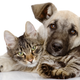 iStock